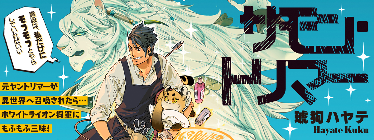 メインビューの画像